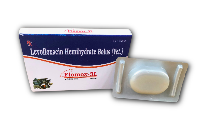 Levofloxacin Hemihydrate 3 gm Veterinary Bolus