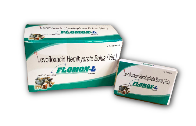 Levofloxacin Hemihydrate 2 gm Veterinary Bolus