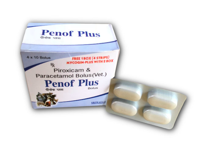 Piroxicam & Paracetamol Veterinary Bolus